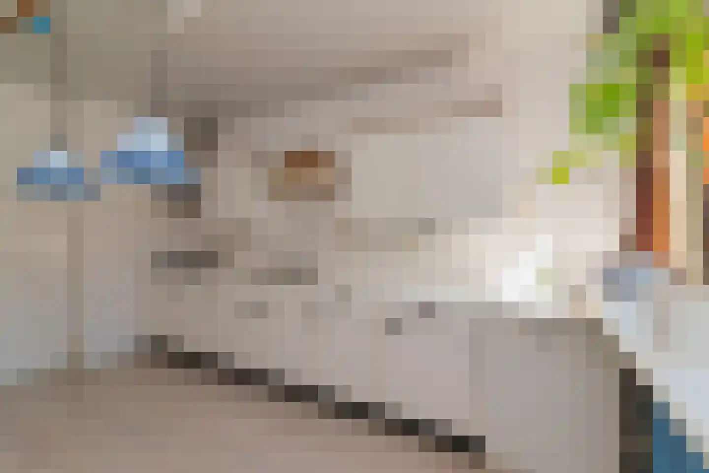 Karperdaal 79 Den Haag thumbnail 5
