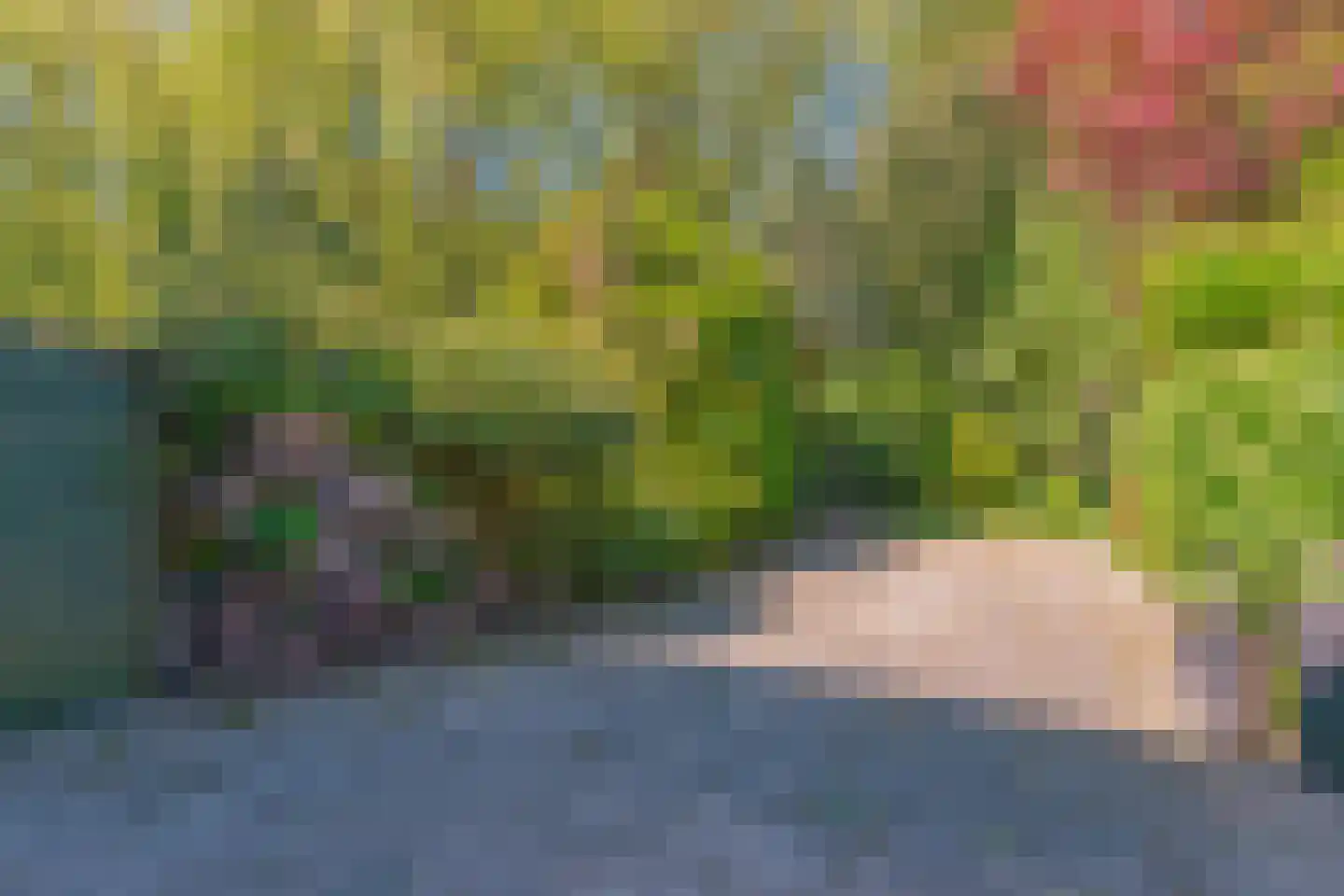 Karperdaal 79 Den Haag thumbnail 8