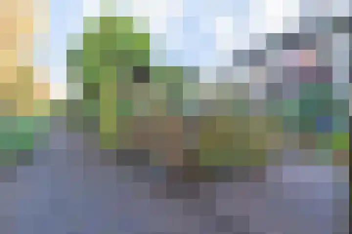 Karperdaal 83 Den Haag thumbnail 18