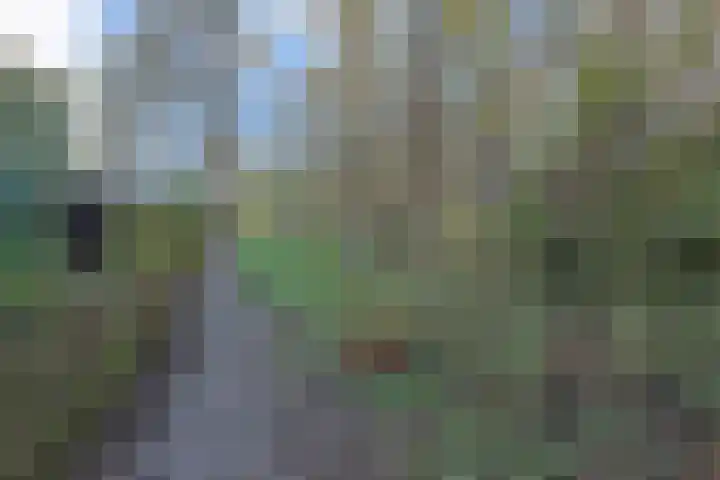 Karperdaal 83 Den Haag thumbnail 20