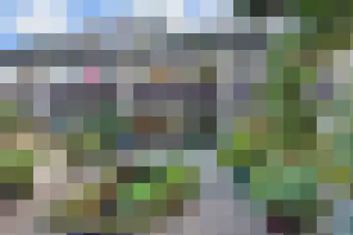 Karperdaal 83 Den Haag thumbnail 22
