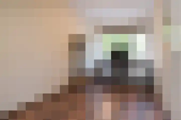 Karperdaal 83 Den Haag thumbnail 38