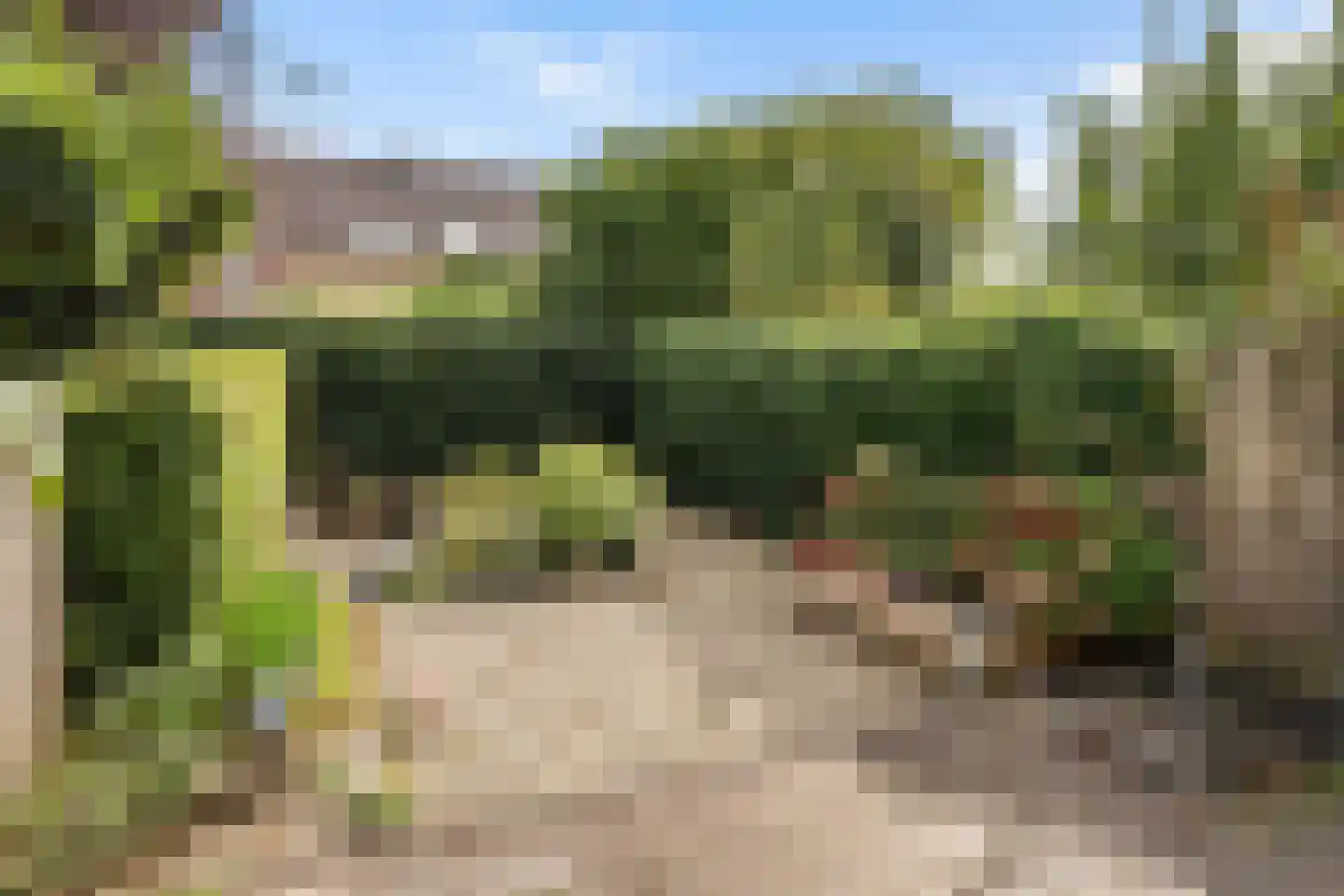Karperkolk 39 Zwolle thumbnail 11