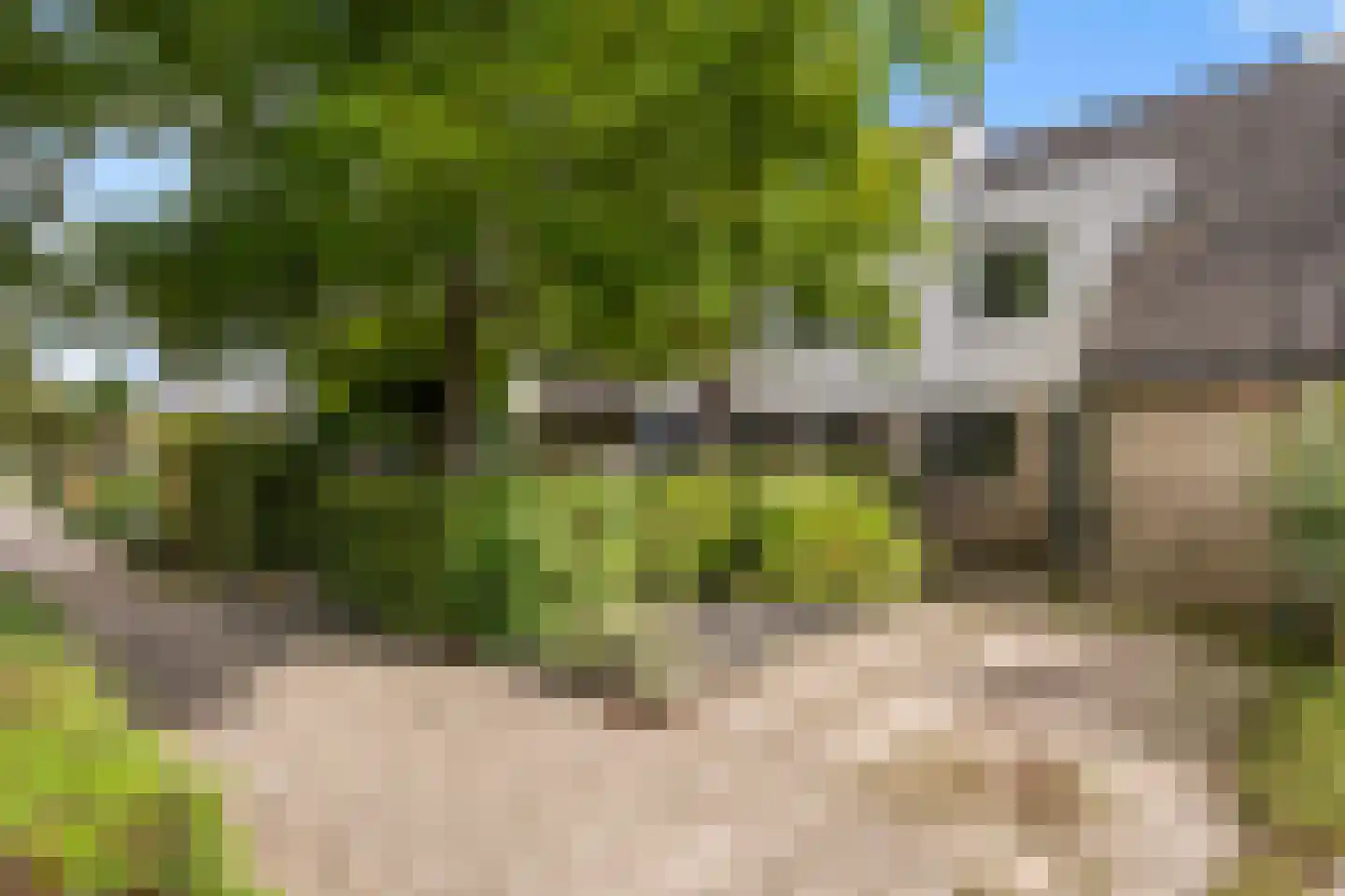 Karperkolk 39 Zwolle thumbnail 25
