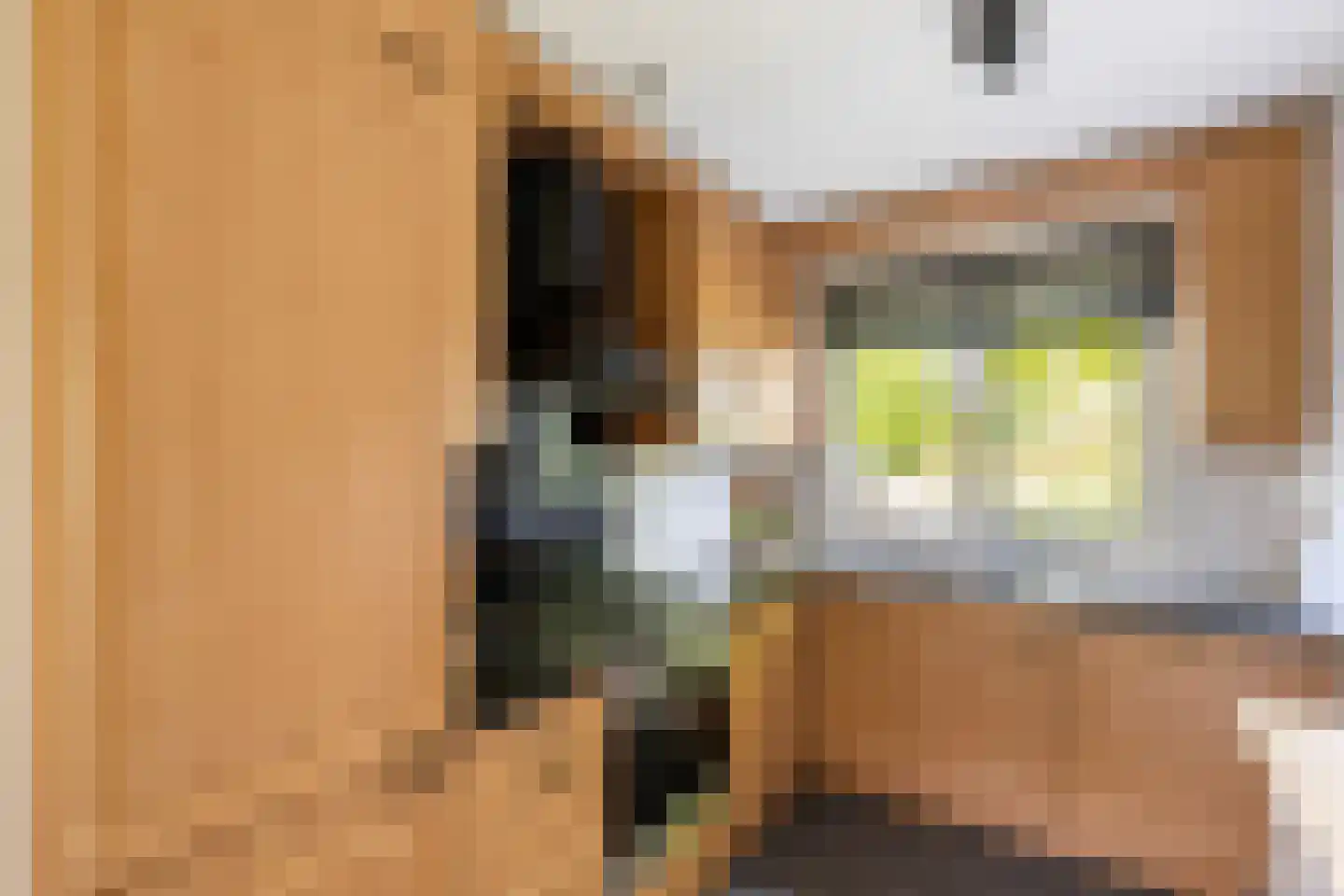 Karperkolk 39 Zwolle thumbnail 9