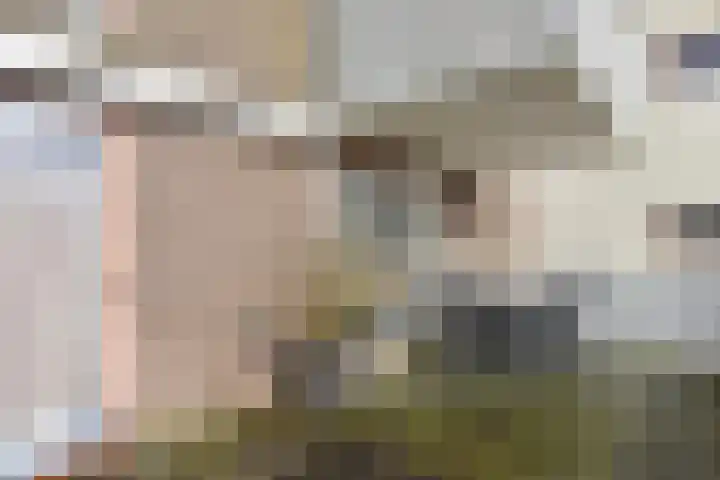 Karperkuilkade 12 Hoorn thumbnail 13