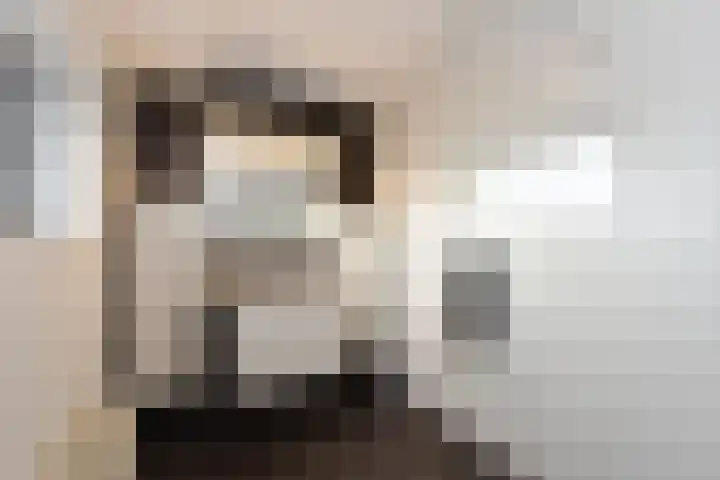 Karperkuilkade 12 Hoorn thumbnail 18