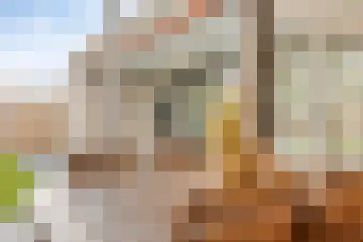 Karperlaan 10 Hedel thumbnail 10