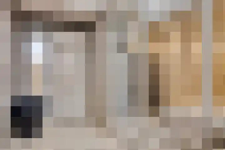 Karperlaan 10 Hedel thumbnail 25