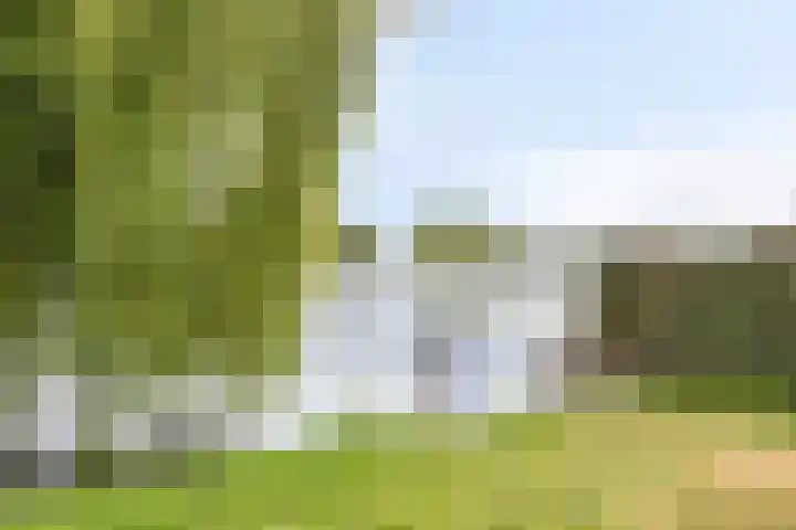 Karperlaan 10 Hedel thumbnail 47