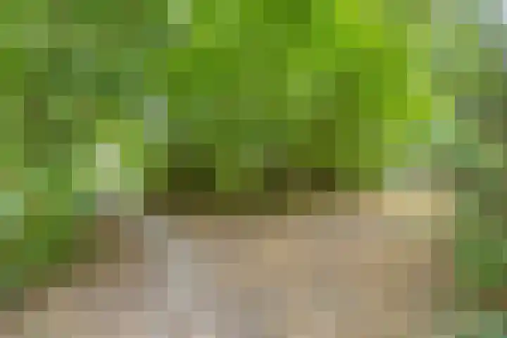 Karperlaan 10 Hedel thumbnail 49