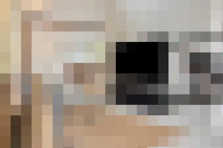 Karperlaan 10 Hedel thumbnail 6