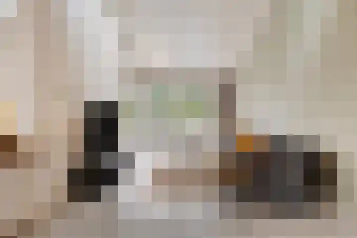 Karperlaan 10 Hedel thumbnail 7