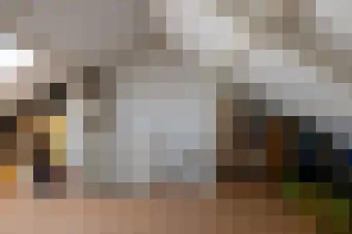 Karperlaan 16 Helmond thumbnail 32