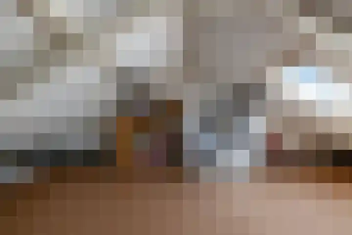 Karperlaan 16 Helmond thumbnail 33