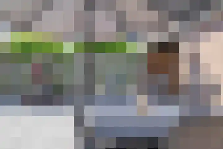 Karperlaan 16 Helmond thumbnail 38