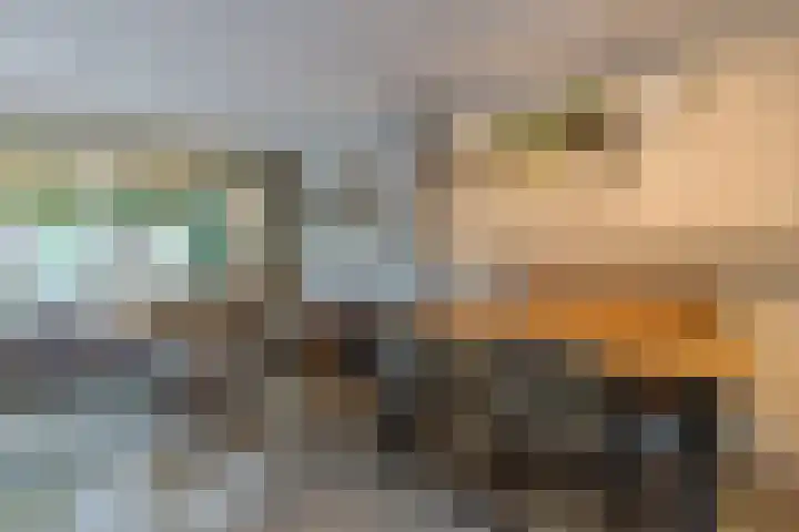 Karperlaan 21 Bodegraven thumbnail 12