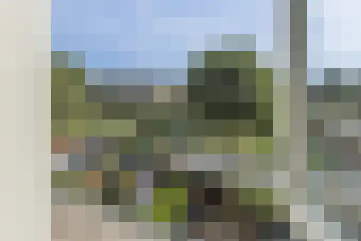 Karperlaan 21 Bodegraven thumbnail 26