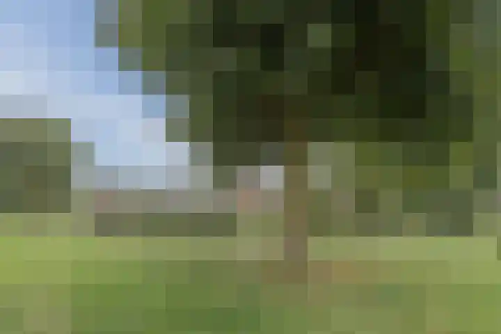 Karperlaan 21 Bodegraven thumbnail 34