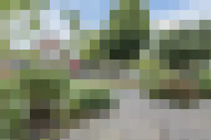 Karperlaan 21 Bodegraven thumbnail 35