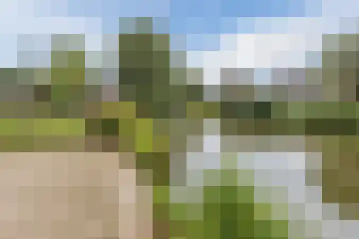 Karperlaan 21 Bodegraven thumbnail 37