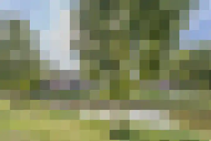 Karperlaan 21 Bodegraven thumbnail 38