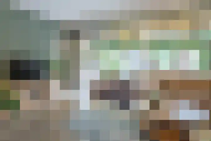 Karperlaan 21 Bodegraven thumbnail 5