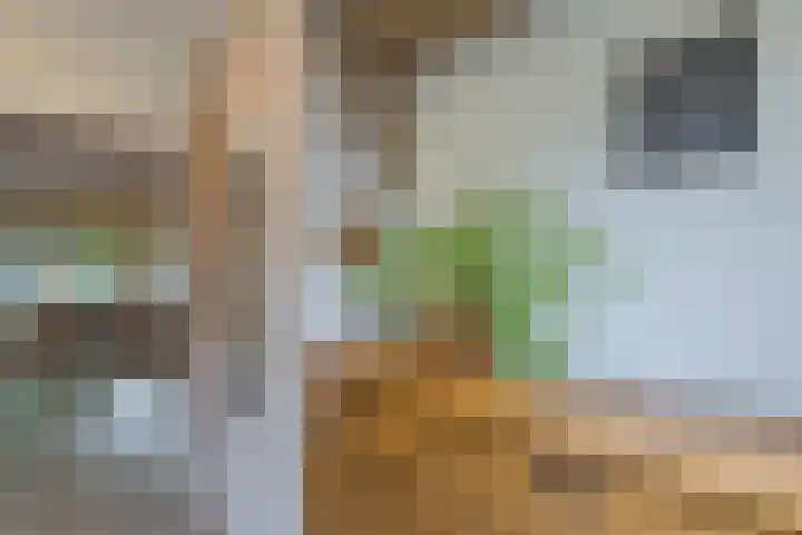 Karperlaan 21 Bodegraven thumbnail 8