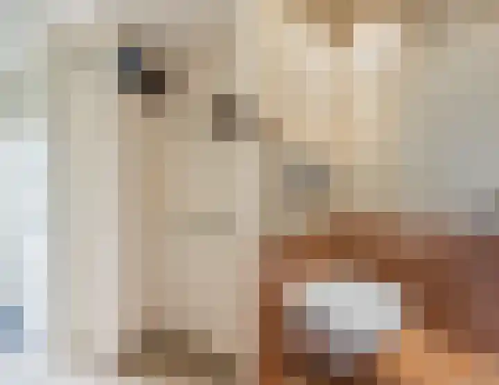 Karperlaan 21 Bodegraven thumbnail 9