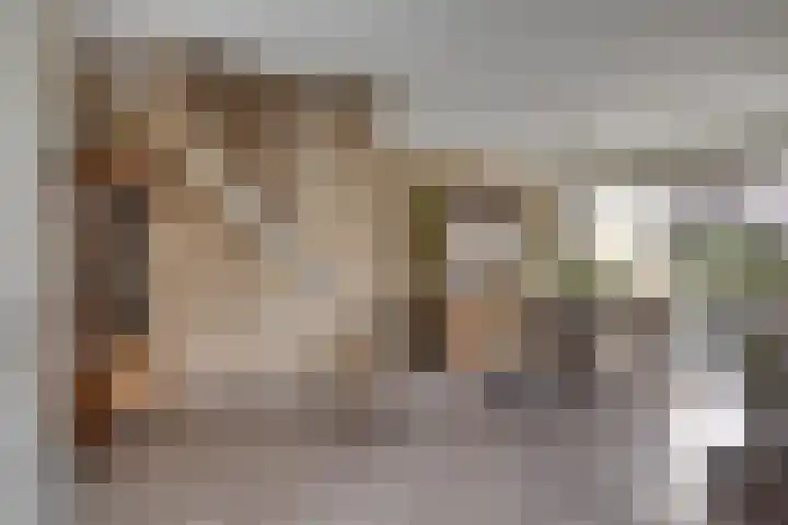 Karperlaan 4 Helmond thumbnail 10