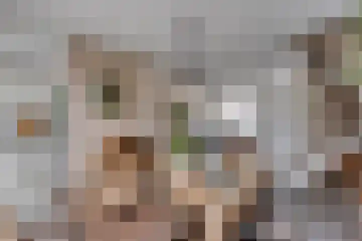 Karperlaan 4 Helmond thumbnail 13