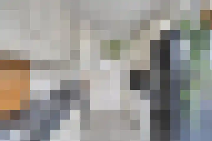 Karperlaan 4 Helmond thumbnail 15