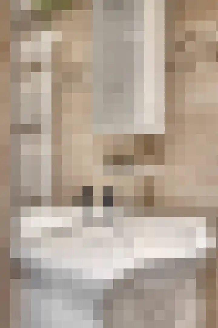 Karperlaan 4 Helmond thumbnail 30