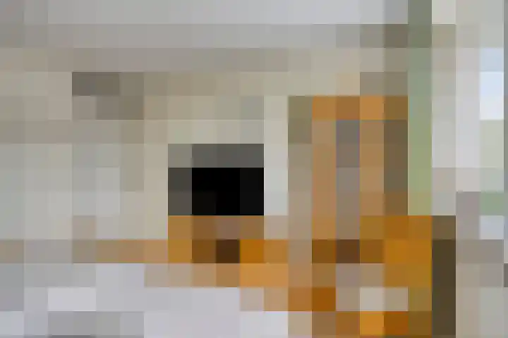 Karperlaan 4 Helmond thumbnail 32