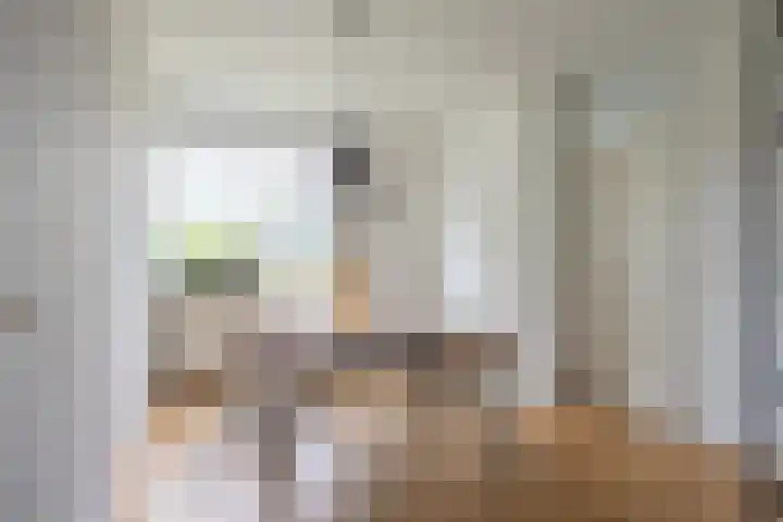 Karperlaan 4 Helmond thumbnail 36