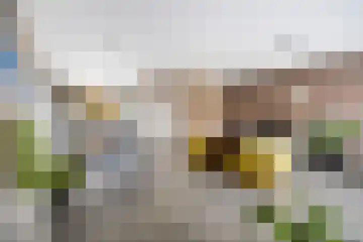 Karpersloot 24 Zoetermeer thumbnail 11