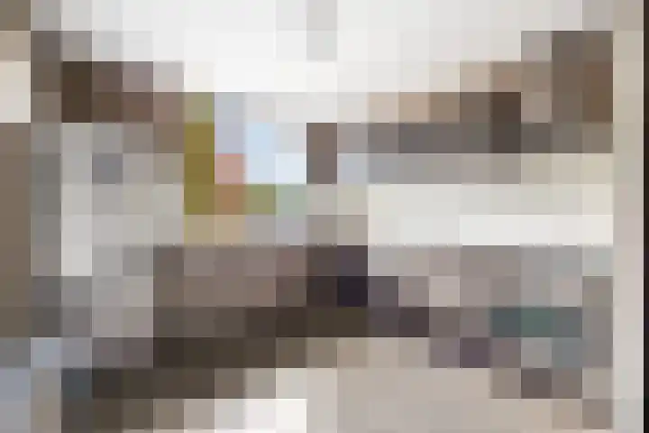 Karpersloot 24 Zoetermeer thumbnail 14