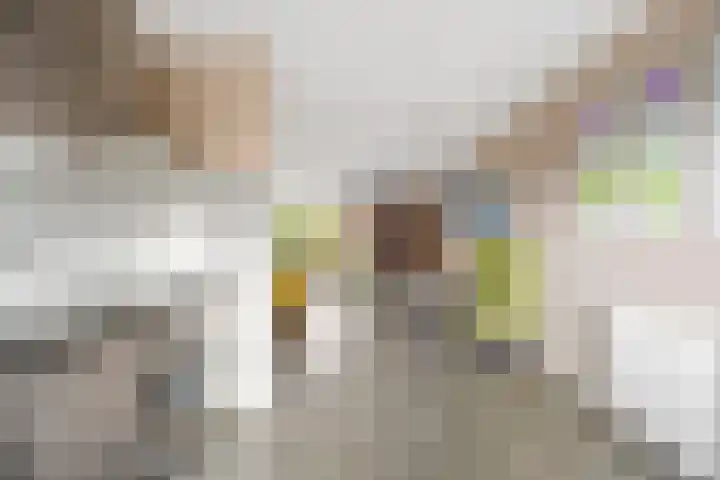 Karpersloot 24 Zoetermeer thumbnail 16