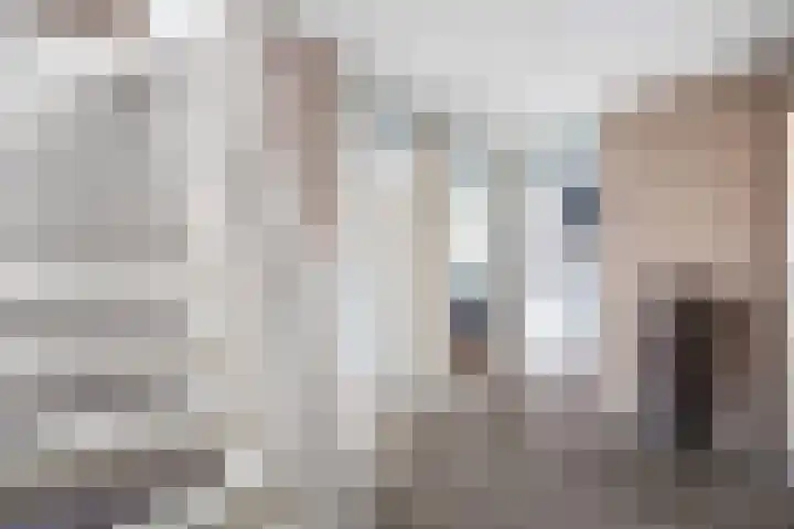 Karpersloot 24 Zoetermeer thumbnail 17