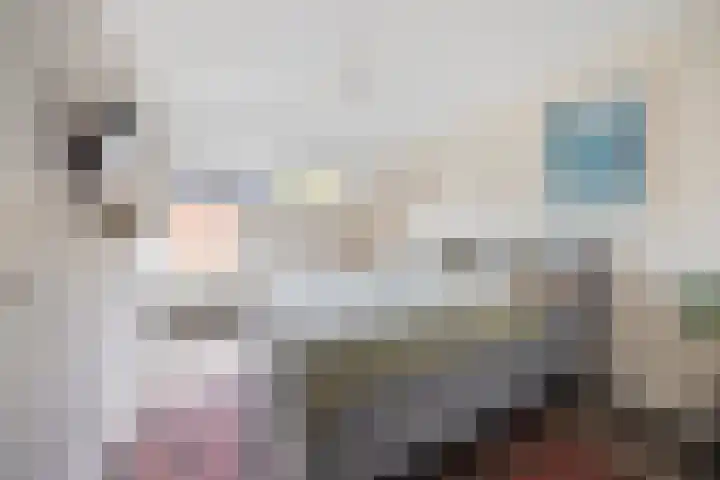 Karpersloot 24 Zoetermeer thumbnail 20
