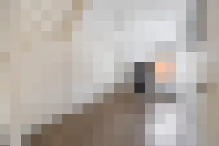 Karpersloot 24 Zoetermeer thumbnail 24