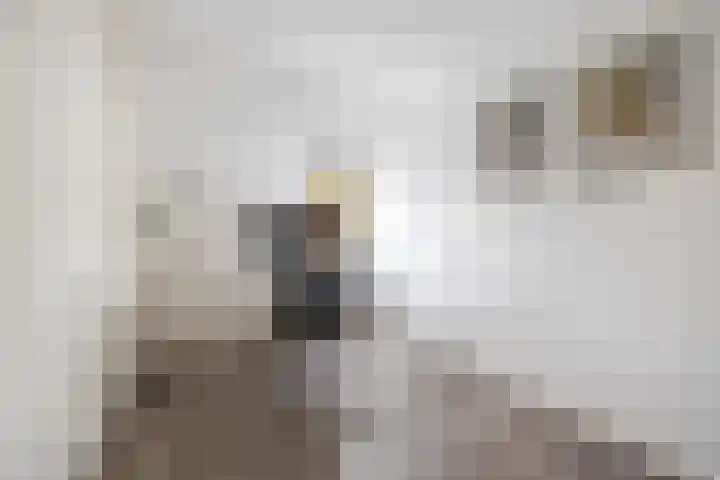 Karpersloot 24 Zoetermeer thumbnail 25