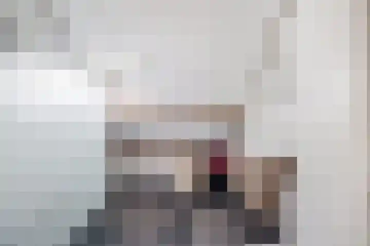 Karpersloot 24 Zoetermeer thumbnail 26