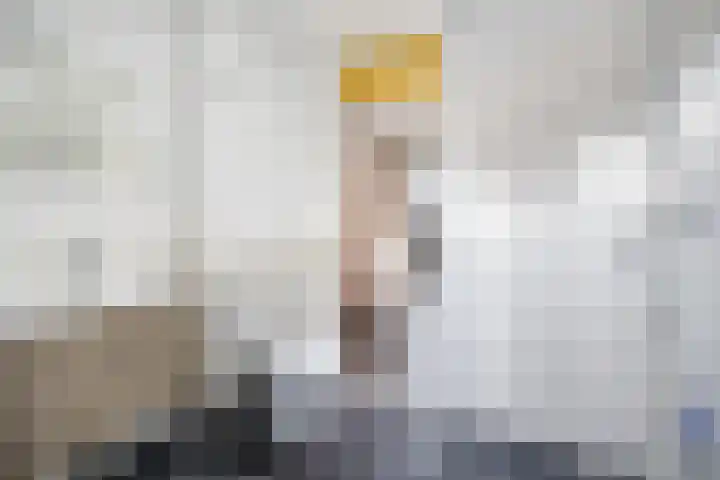 Karpersloot 24 Zoetermeer thumbnail 27