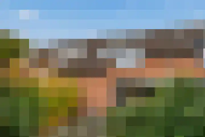 Karpersloot 24 Zoetermeer thumbnail 4
