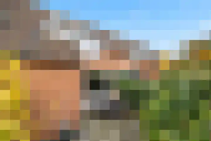 Karpersloot 24 Zoetermeer thumbnail 5