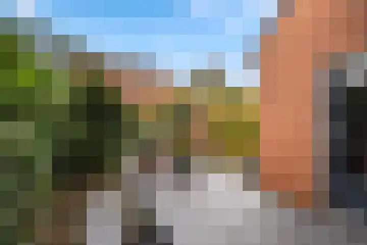 Karpersloot 24 Zoetermeer thumbnail 7