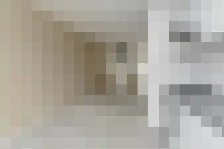 Karpersloot 26 Zoetermeer thumbnail 15