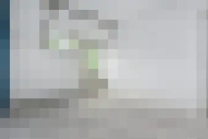 Karpersloot 26 Zoetermeer thumbnail 18