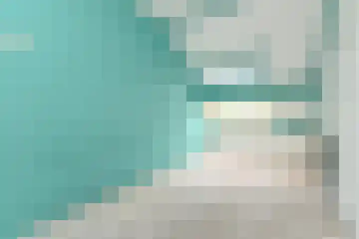 Karpersloot 26 Zoetermeer thumbnail 23